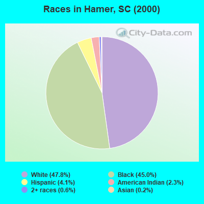 Races in Hamer, SC (2000)