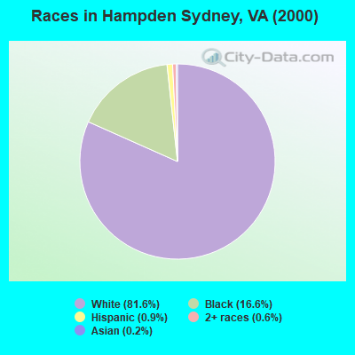 Races in Hampden Sydney, VA (2000)