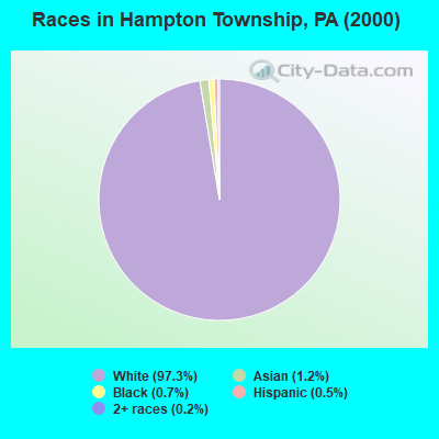 Races in Hampton Township, PA (2000)