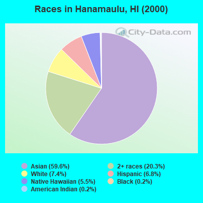 Races in Hanamaulu, HI (2000)