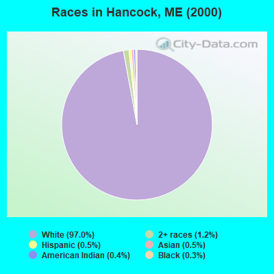 Races in Hancock, ME (2000)