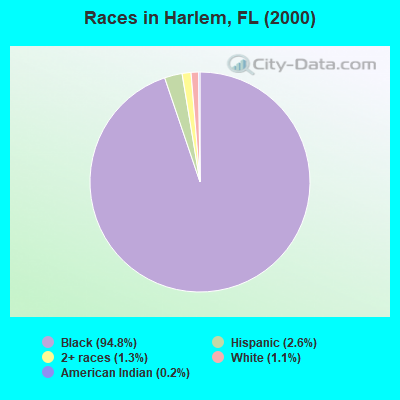 Races in Harlem, FL (2000)