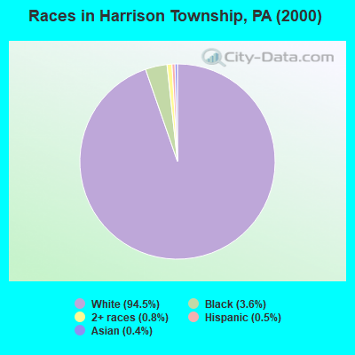 Races in Harrison Township, PA (2000)