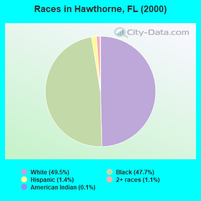 Races in Hawthorne, FL (2000)