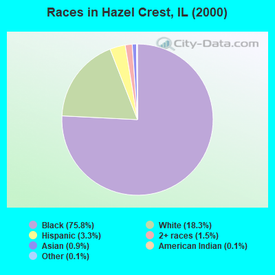 Races in Hazel Crest, IL (2000)