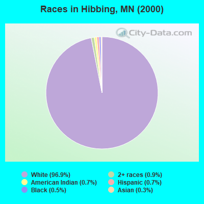 Races in Hibbing, MN (2000)