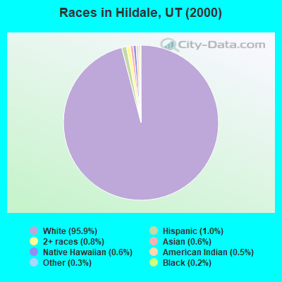 Races in Hildale, UT (2000)