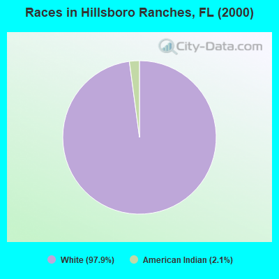 Races in Hillsboro Ranches, FL (2000)