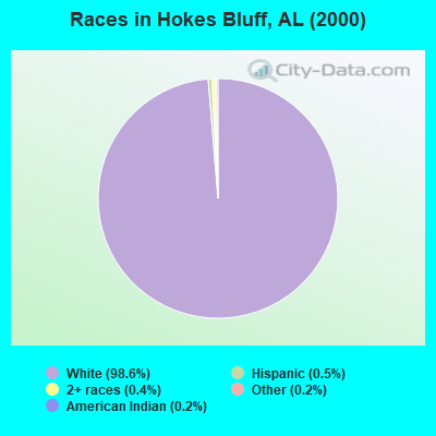 Races in Hokes Bluff, AL (2000)