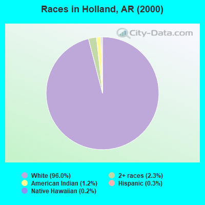 Races in Holland, AR (2000)