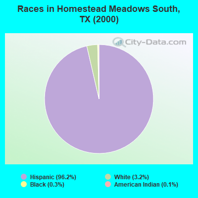 Races in Homestead Meadows South, TX (2000)