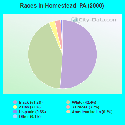 Races in Homestead, PA (2000)