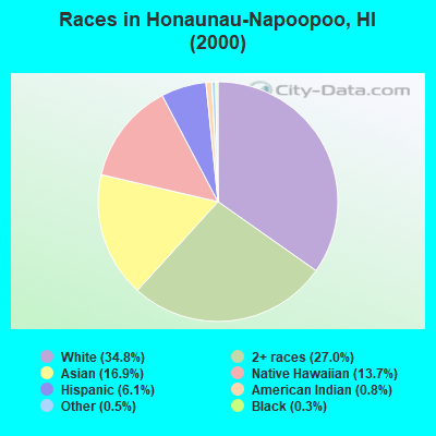 Races in Honaunau-Napoopoo, HI (2000)