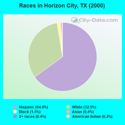 Races in Horizon City, TX (2000)