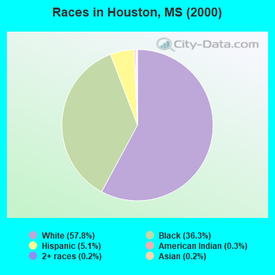 Races in Houston, MS (2000)