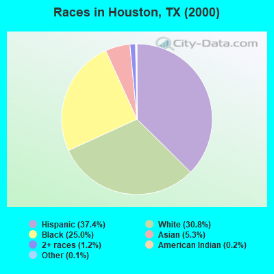Races in Houston, TX (2000)