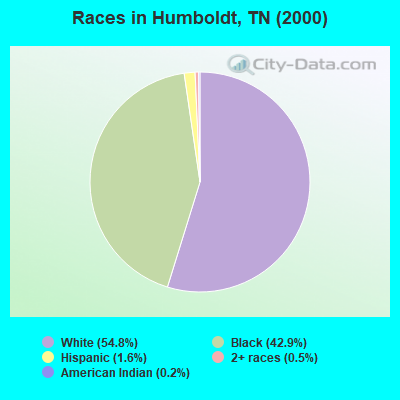 Races in Humboldt, TN (2000)