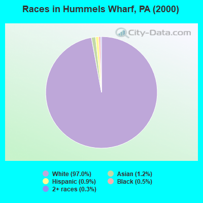 Races in Hummels Wharf, PA (2000)