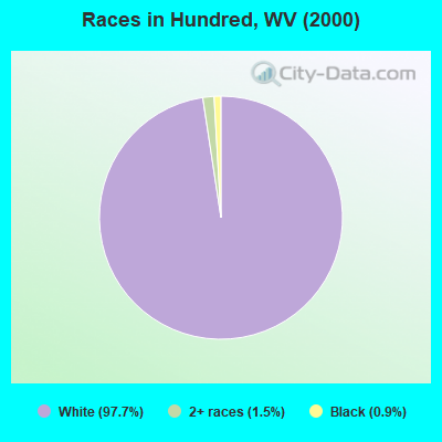 Races in Hundred, WV (2000)