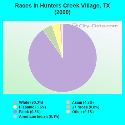 Races in Hunters Creek Village, TX (2000)