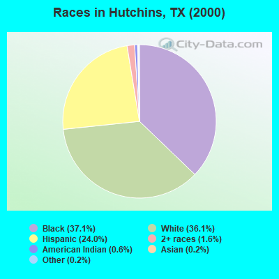 Races in Hutchins, TX (2000)