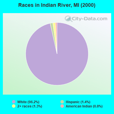 Races in Indian River, MI (2000)