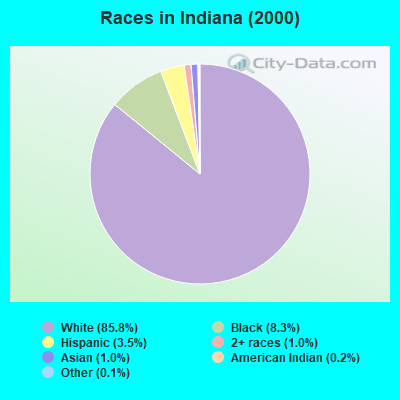 Races in Indiana (2000)