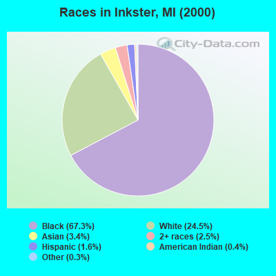 Races in Inkster, MI (2000)