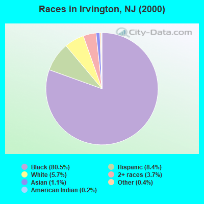 Races in Irvington, NJ (2000)