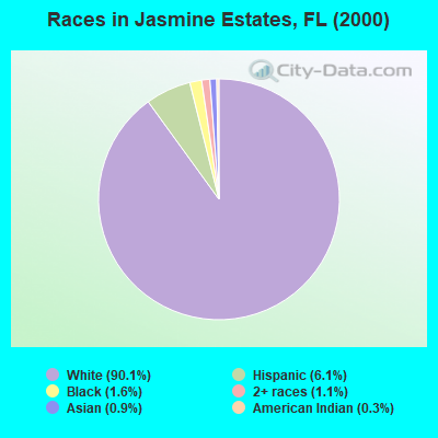 Races in Jasmine Estates, FL (2000)