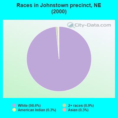 Races in Johnstown precinct, NE (2000)
