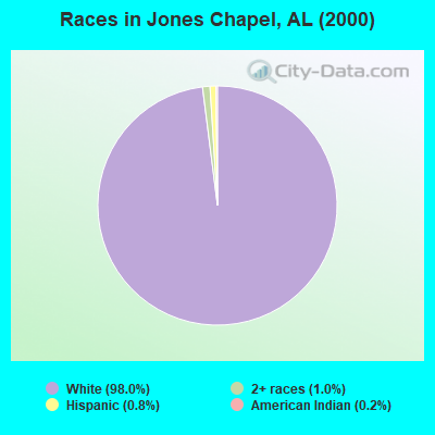 Races in Jones Chapel, AL (2000)