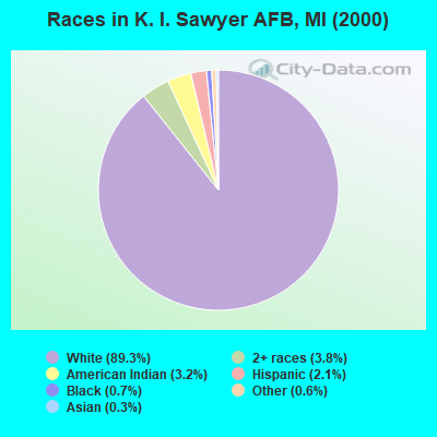 Races in K. I. Sawyer AFB, MI (2000)