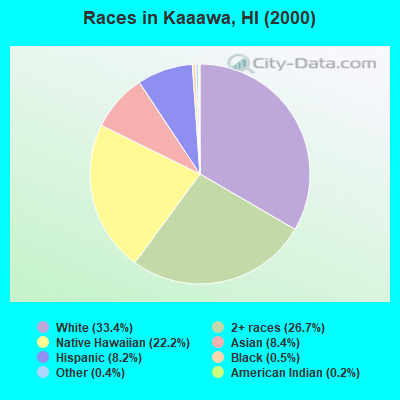 Races in Kaaawa, HI (2000)