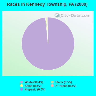 Races in Kennedy Township, PA (2000)