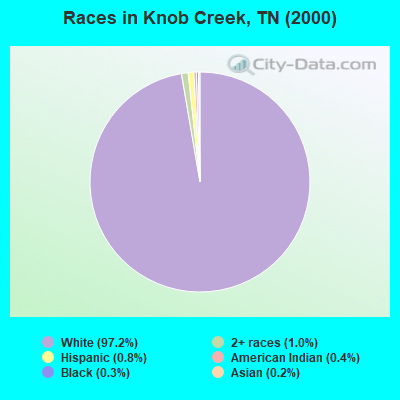 Races in Knob Creek, TN (2000)