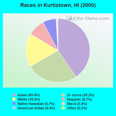 Races in Kurtistown, HI (2000)