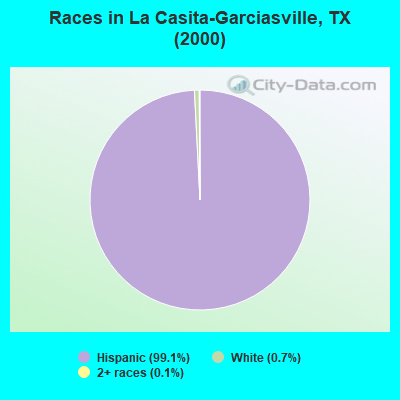 Races in La Casita-Garciasville, TX (2000)