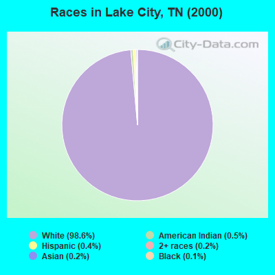 Races in Lake City, TN (2000)