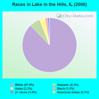 Races in Lake in the Hills, IL (2000)