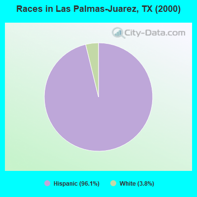 Races in Las Palmas-Juarez, TX (2000)