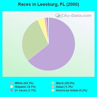 Races in Leesburg, FL (2000)