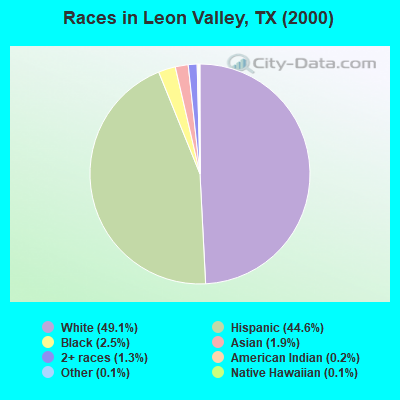 Races in Leon Valley, TX (2000)
