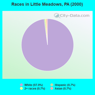 Races in Little Meadows, PA (2000)