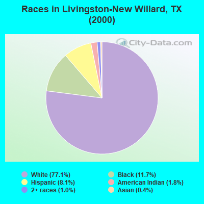 Races in Livingston-New Willard, TX (2000)