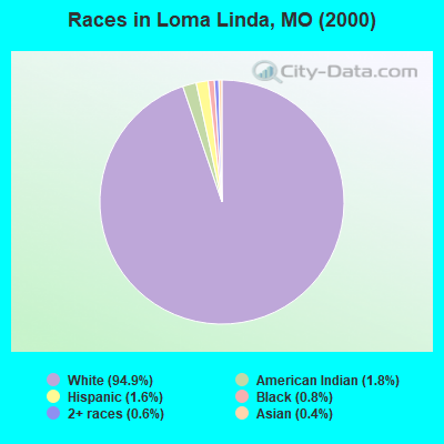 Races in Loma Linda, MO (2000)