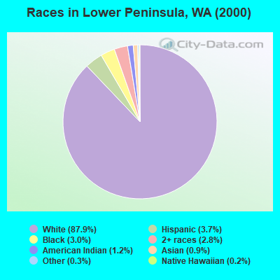 Races in Lower Peninsula, WA (2000)