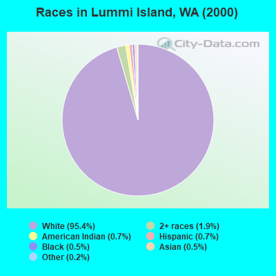 Races in Lummi Island, WA (2000)