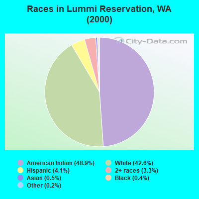Races in Lummi Reservation, WA (2000)