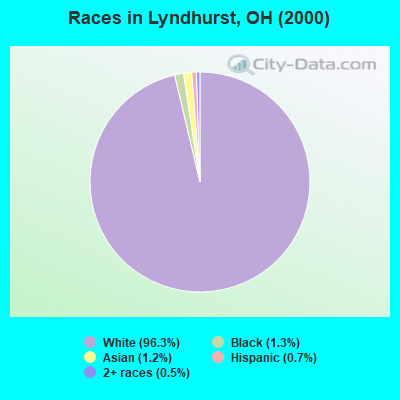 Races in Lyndhurst, OH (2000)